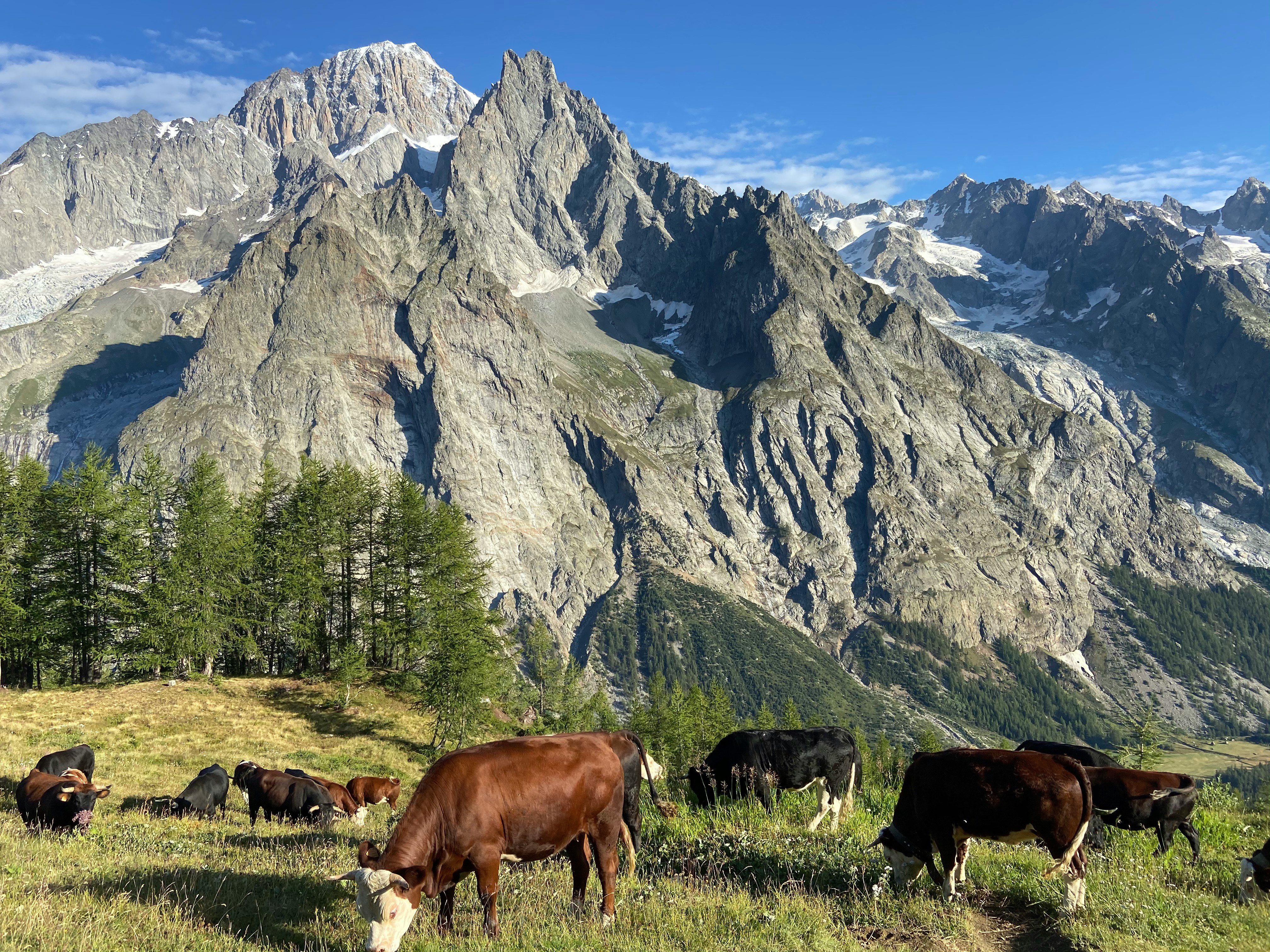 Courmayeur
