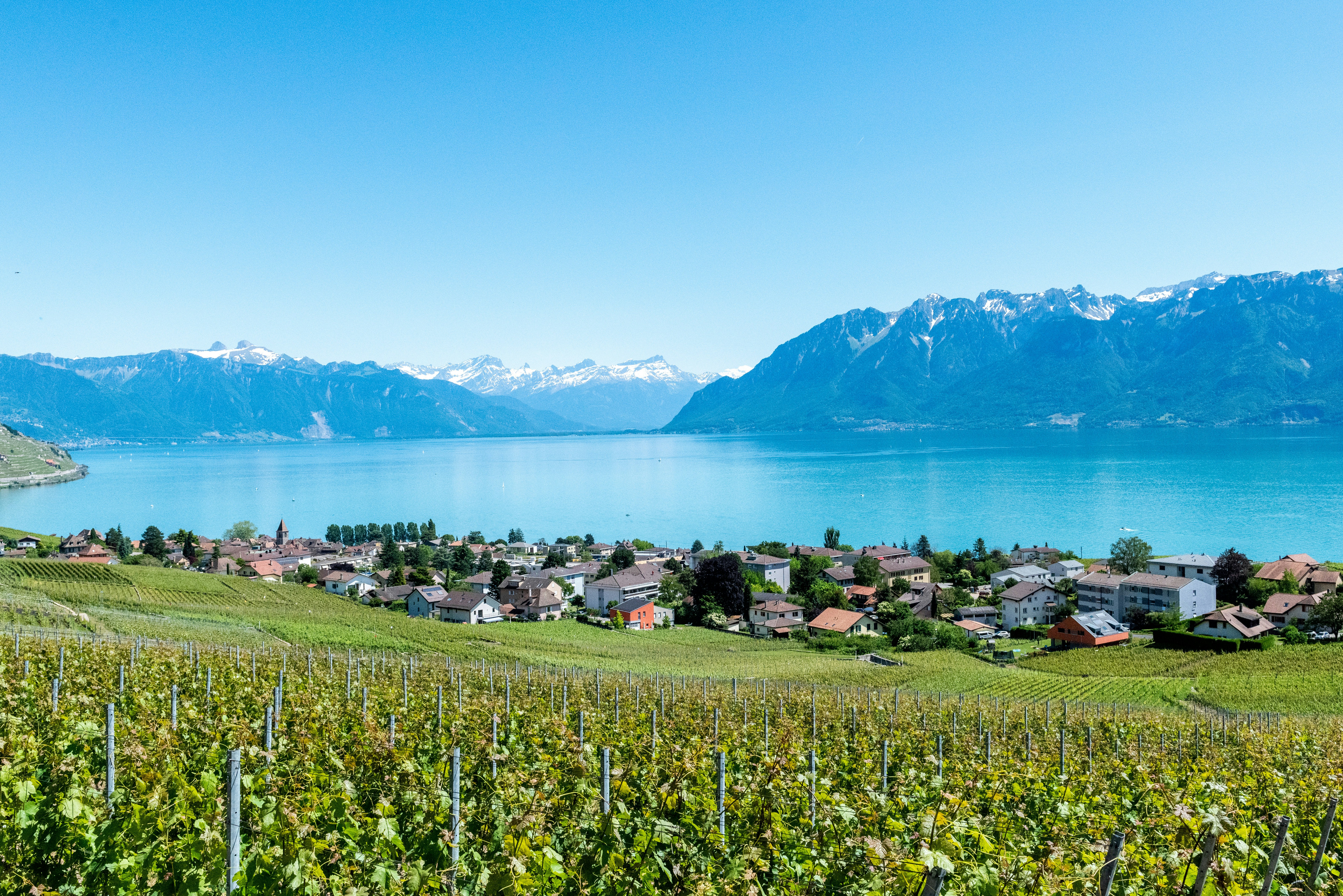 Lake Léman